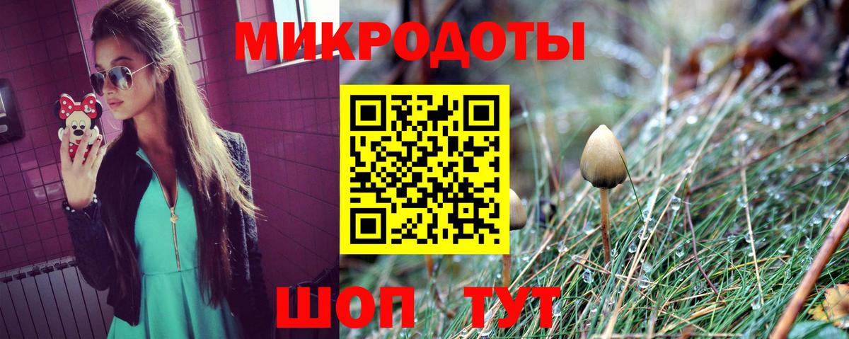 Галлюциногенные грибы Psilocybine cubensis Саров