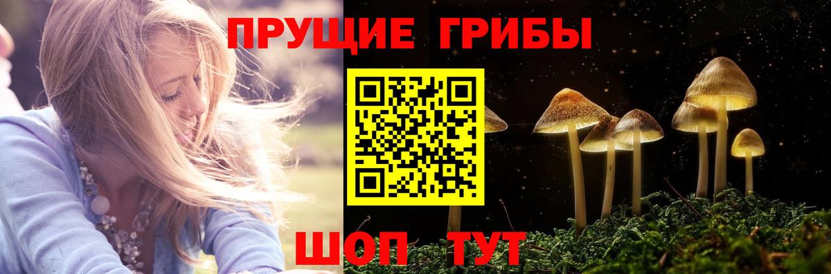 Псилоцибиновые грибы ЛСД  Вход с VPN  Саров 